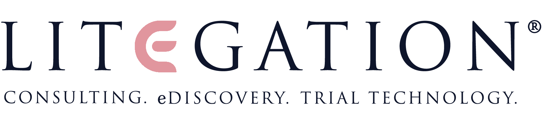 The Leaders in Litigation Support, eDiscovery and Trial Technology Services