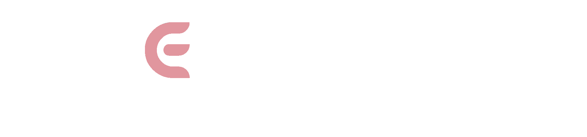 The Leaders in Litigation Support, eDiscovery and Trial Technology Services